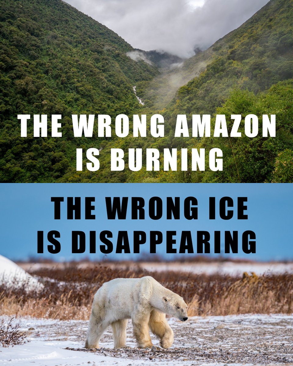 Nateinthewild | Nate Luebbe (@nateinthewild) on Twitter photo 