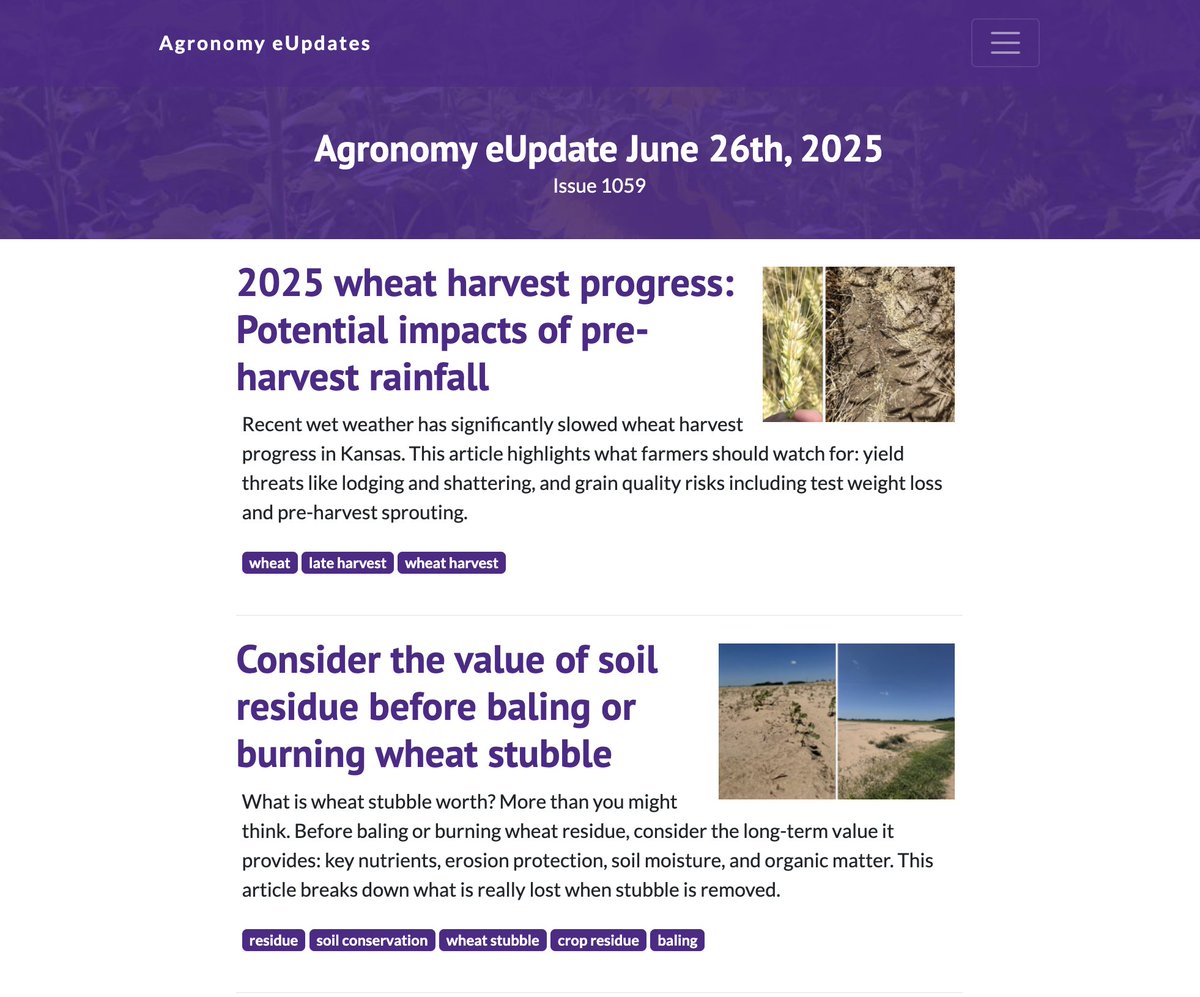 WKREC (@kstatewkrec) on Twitter photo Whether you’re scouting fields or planning fall events, this week’s <a href="/KStateAgron/">K-State Agronomy</a> eUpdate has something for you:
🔍 Nutrient deficiency symptoms
🔥 Why not to burn wheat stubble
🧠 Save the date: AI in Ag Conference
📅 Field day & training registration info
Read more: Whether you’re scouting fields or planning fall events, this week’s <a href="/KStateAgron/">K-State Agronomy</a> eUpdate has something for you:
🔍 Nutrient deficiency symptoms
🔥 Why not to burn wheat stubble
🧠 Save the date: AI in Ag Conference
📅 Field day & training registration info
Read more: