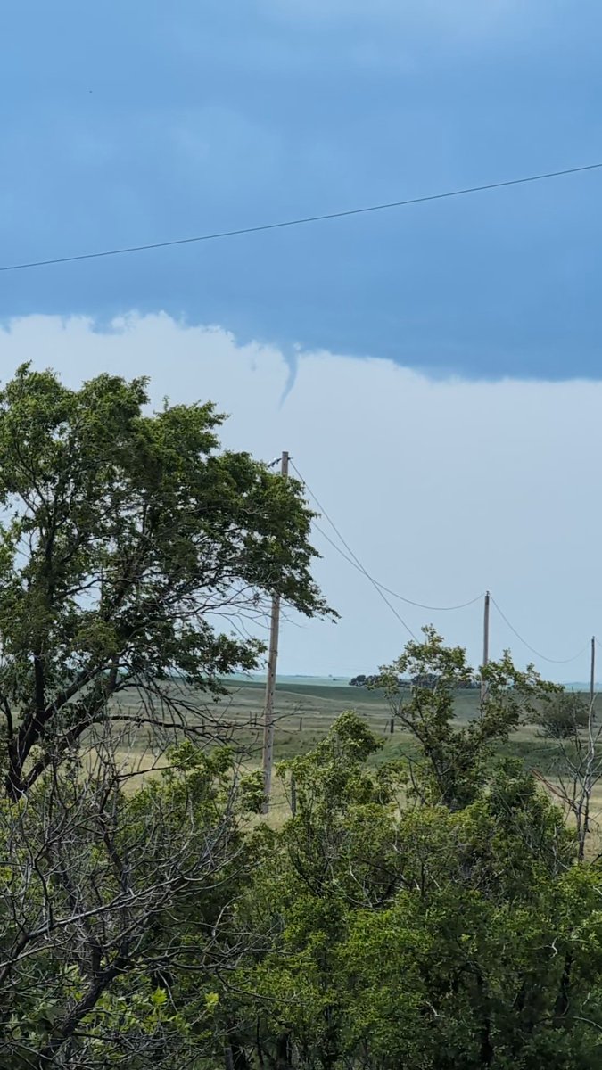 Sarah Vinge-Mazer tweet media