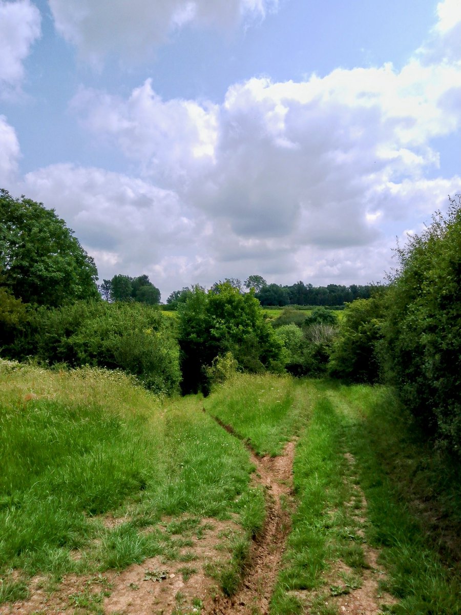 phil0073's tweet photo. Along #Lamport2Faxton in #WashpitHill towards #FaxtonLostVillage . The woods on the horizon now covers the site of #FaxtonHall aka #FaxtonManor . #PhilOnaBike #BywayFriday #FootpathFriday #Treepeople #clouds https://t.co/nSavi9OGTn