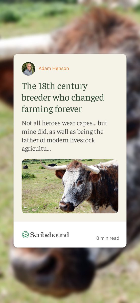 Joe Stanley (@joewstanley) on Twitter photo ‘The 18th century breeder who changed farming forever.’
Nice piece & well worth a read on Robert Bakewell of Dishley Grange, Leicestershire, by Adam Henson on <a href="/scribehound_ctr/">Scribehound Countryside</a>.
scribehound.com/countryside/li… ‘The 18th century breeder who changed farming forever.’
Nice piece & well worth a read on Robert Bakewell of Dishley Grange, Leicestershire, by Adam Henson on <a href="/scribehound_ctr/">Scribehound Countryside</a>.
scribehound.com/countryside/li…