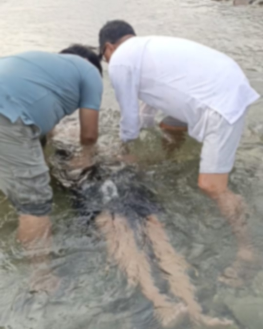HeartCryMission's tweet image. "We were buried therefore with him by baptism into death, in order that, just as Christ was raised from the dead by the glory of the Father, we too might walk in newness of life." - Romans 6:4
Praise the Lord for several baptisms in a concealed location in South Asia!
Please…