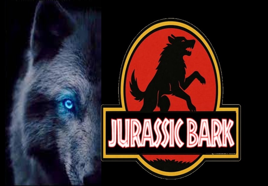 6/26/25: JURASSIC BARK W/ JOSH TURNER
According to DNA results of the canine carcass from Skinwalker Ranch, it is either a new species or a species thought to be extinct. It is an enigma that has no genetic record anywhere. Clyde Lewis at 7pm, pacific on groundzeroplus.com.