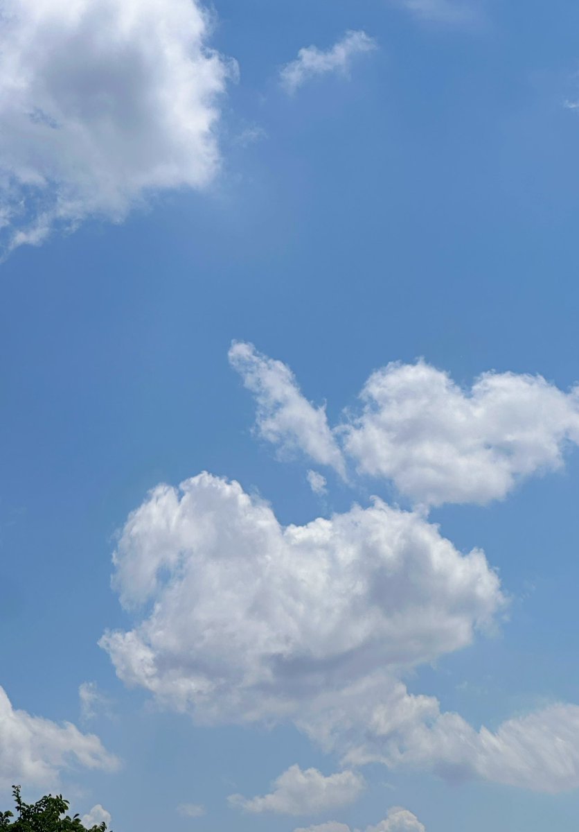 Maybe the clouds aren’t random. Maybe they’re shaped like the dreams we let go of, but still believe in a little.