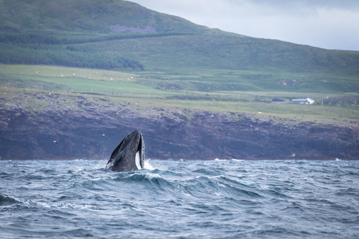 dunbar44's tweet image. A few more images from my recent trip to Dingle