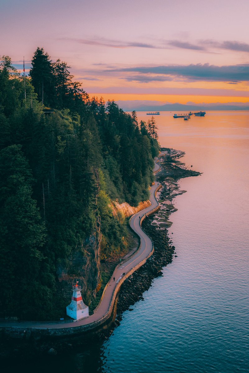 s a i g e ✨ tweet media