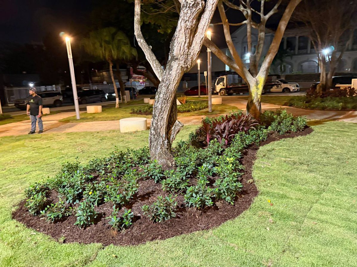 Miguel Romero tweet media