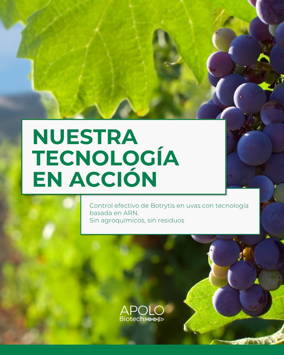 APOLO Biotech 🚀🧬🌱 tweet media