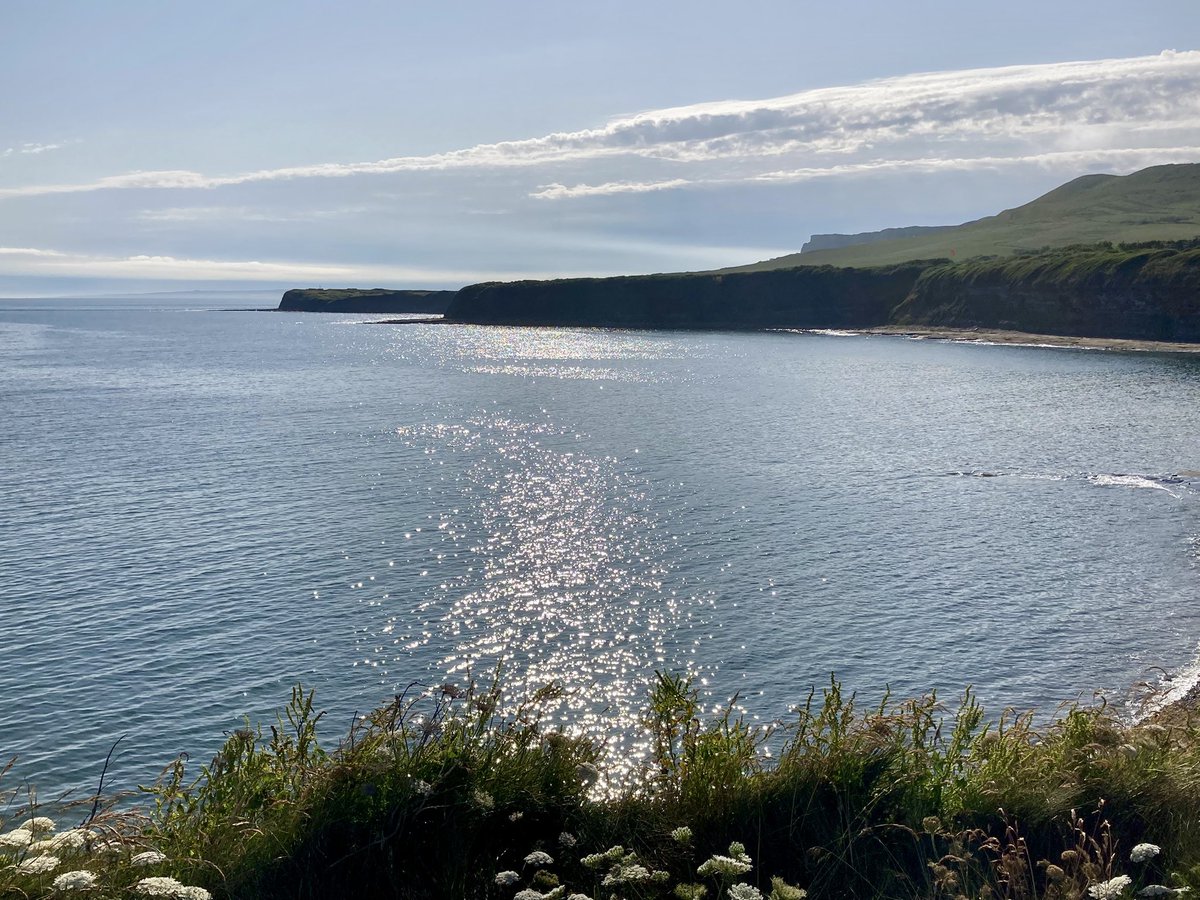 Annual Leave 🦚🌊😎