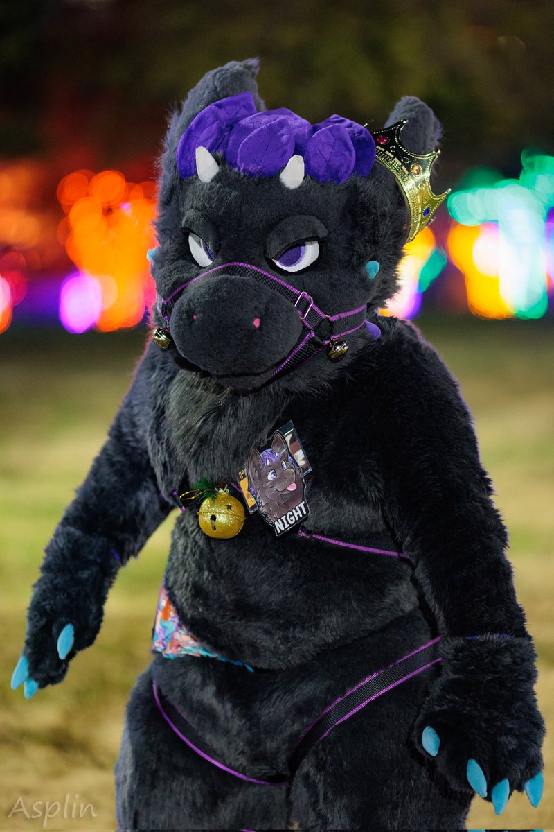 💜🌙

📸: <a href="/asplinduh/">Asplin</a>