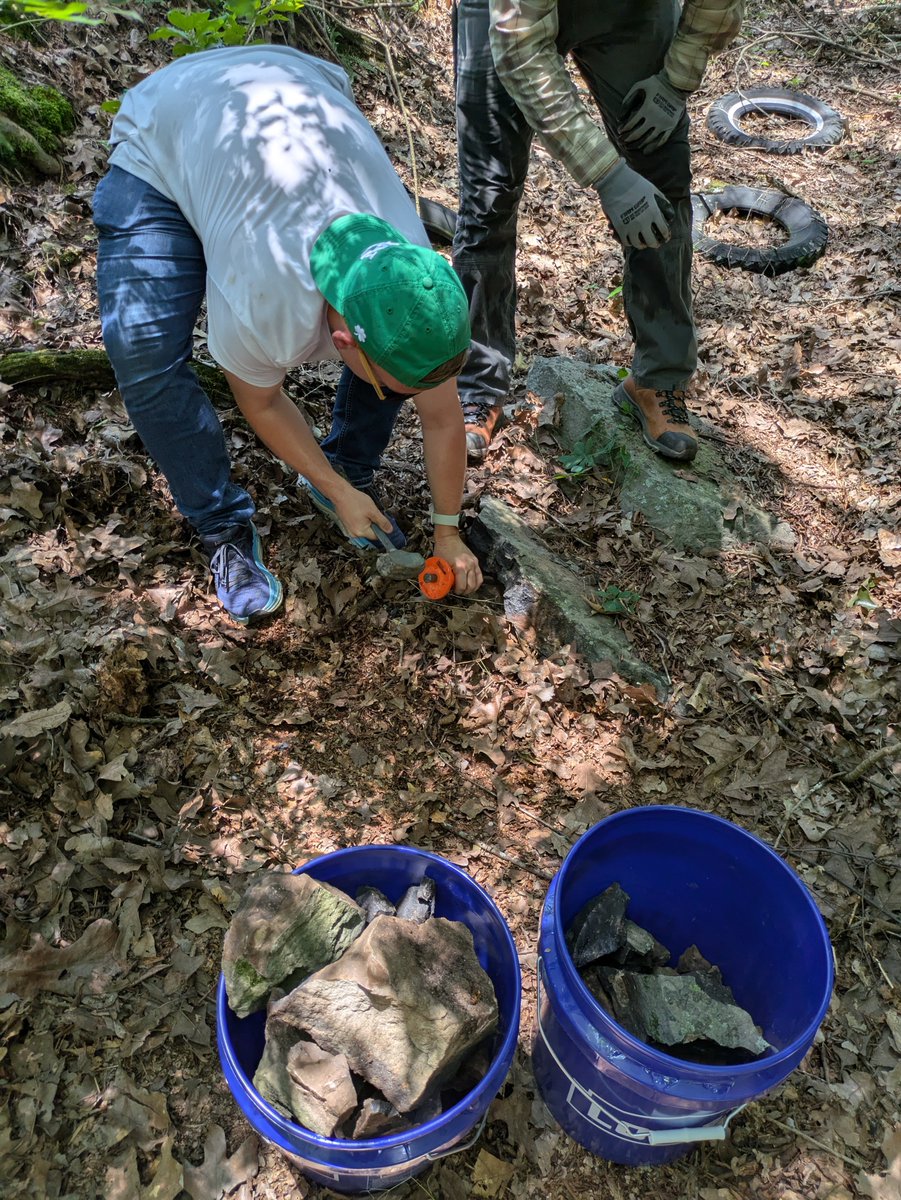 Grieco Lab tweet media