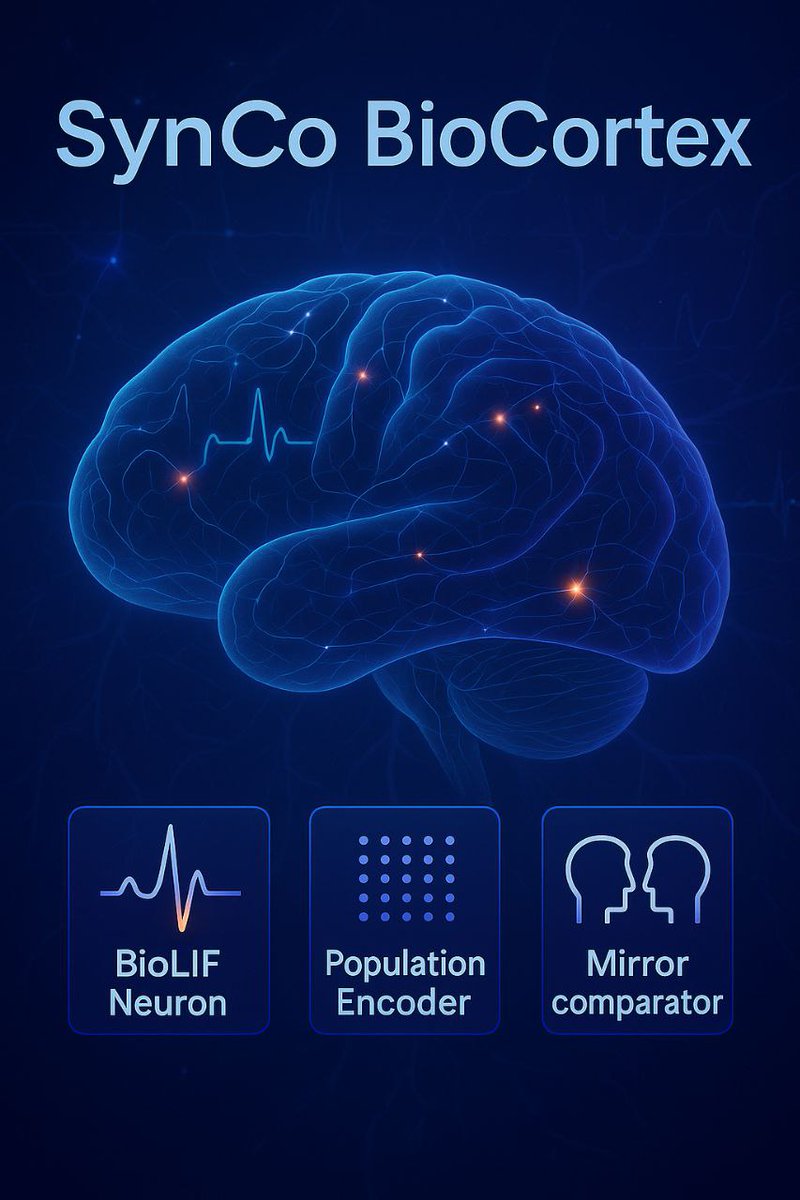 Almusawee's tweet image. &amp;gt; 🧠 SynCo v5.5 &quot;Biocortex&quot; is here.
A trainable synthetic brain that learns like a cortex — using spikes, plastic synapses, and real ECG signals from MIT-BIH. github.com/Almusawee/SynC…

#NeuroAI #SpikingNeuralNetwork #SyntheticCortex #MITBIH #AI #BrainInspired #ECG