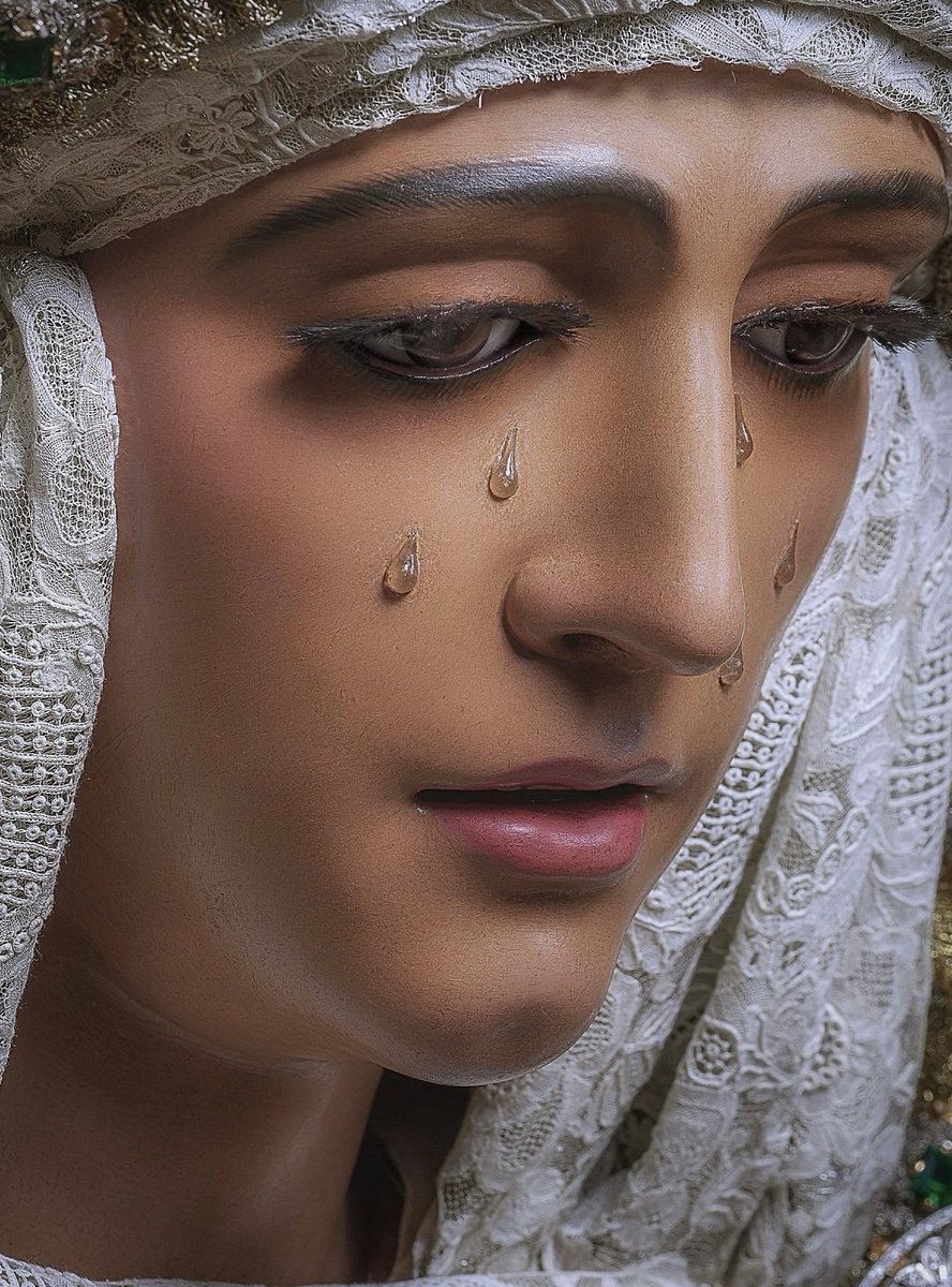 …Rosa que hoy vence a una rosa que a otra cosa ayer vencía... #EsperanzadeTriana