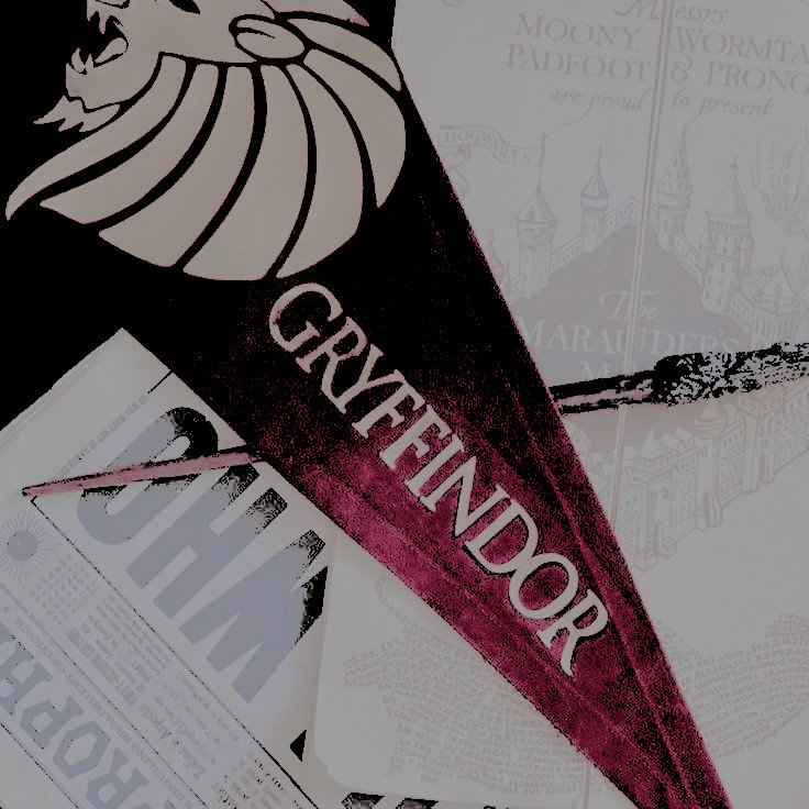 ꪀꪗ᥊ ρꪮ𝓽𝓽ꫀ𝘳 (@thelifeofnyx) on Twitter photo 