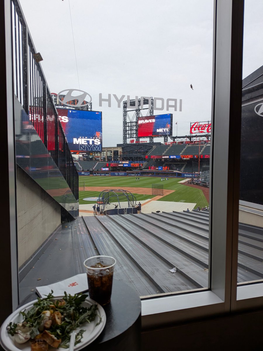 Need a split today for my sanity. #MetsTwitter #LFGM #LGM