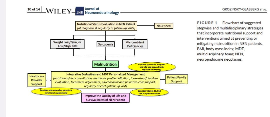 🍽️ #Nutritional support in #neuroendocrine tumors: often forgotten, always needed

🔎 <a href="/ENETS_ORG/">ENETS</a> calls for early screening &amp; tailored interventions
💊 Address Pancreatic Exocrine Insufficiency, micronutrient loss, surgery, diarrhea

📄 <a href="/JNE_Editor/">JNE</a> 2025
🔗 doi.org/10.1111/jne.70…