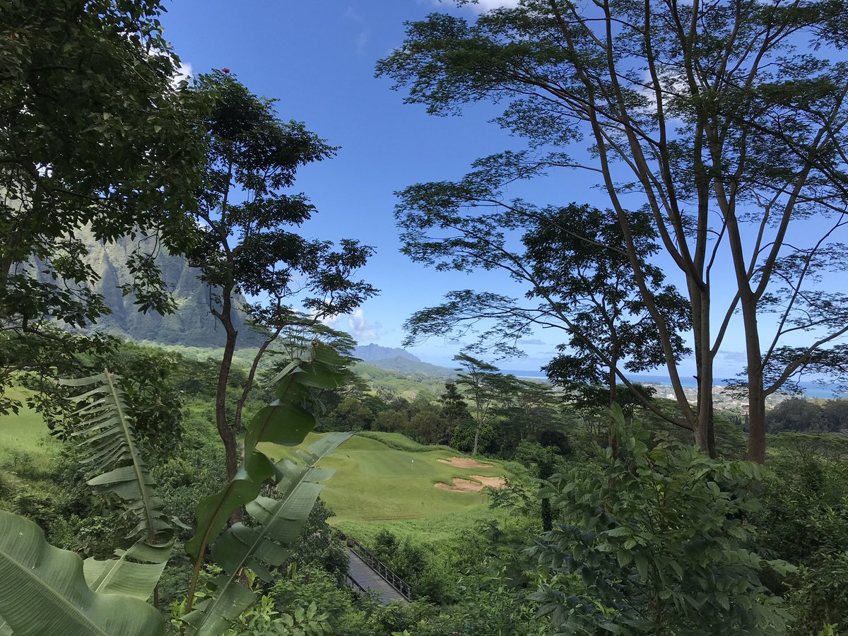 Tom Morrissey tweet media