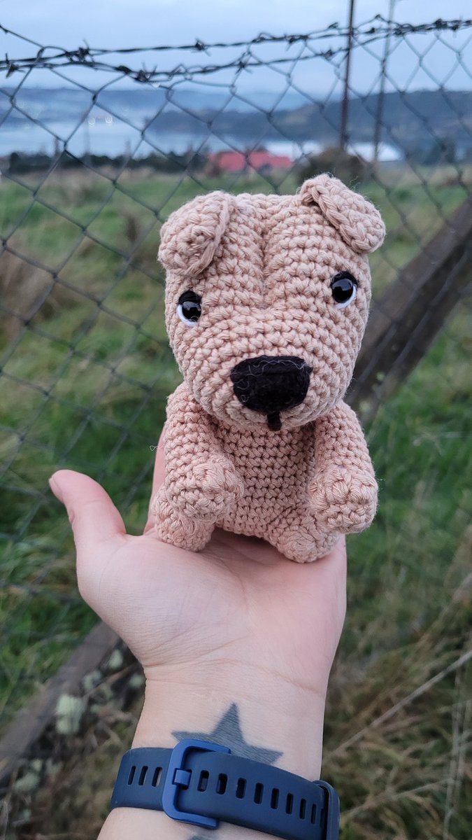 🧶Pepi la Tejedora 🌱🚴🏼♀️ tweet media