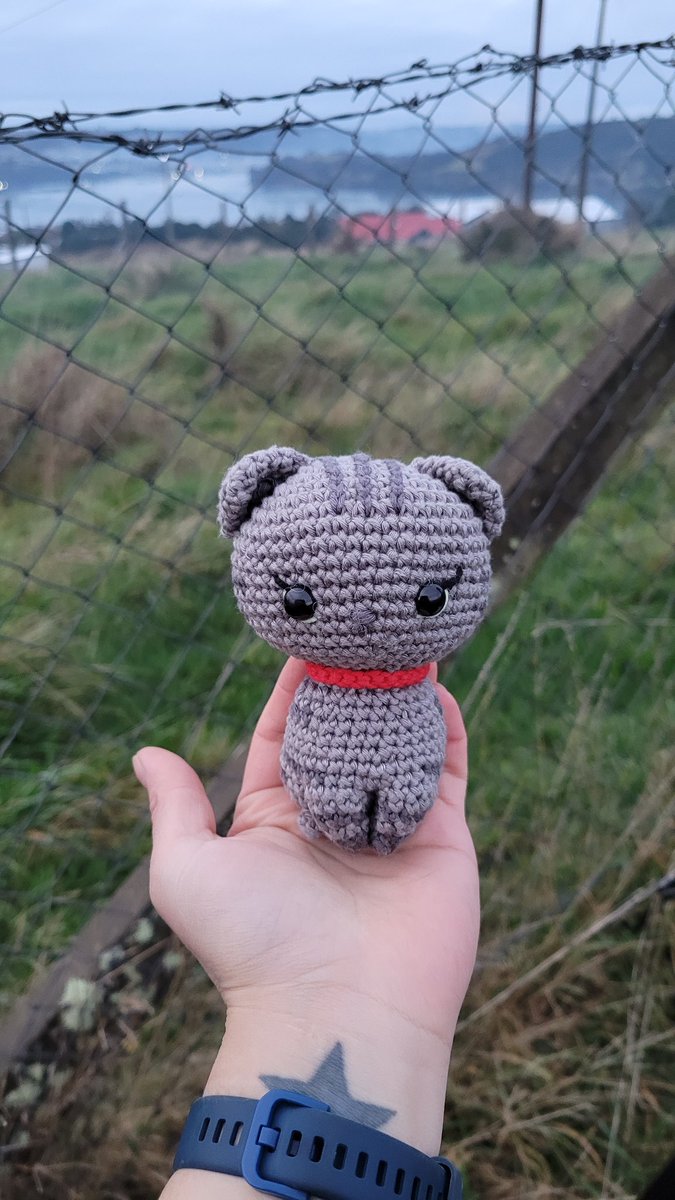 Hola! Estoy sin trabajo y necesito juntar dinero para comprar leña, este domingo se vienen -4°C 
Tejí estos amigurumis con mucho amor y los estoy vendiendo para poder abrigarnos en casa.
Si puedes comprar uno o simplemente dar RT , te lo agradezco de corazón