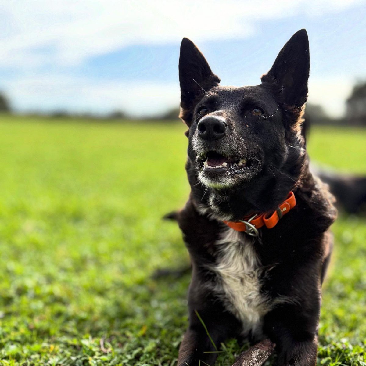 From full derp to glow up. This is why large SD cards and photographers exist. 1:50 ratio I reckon.