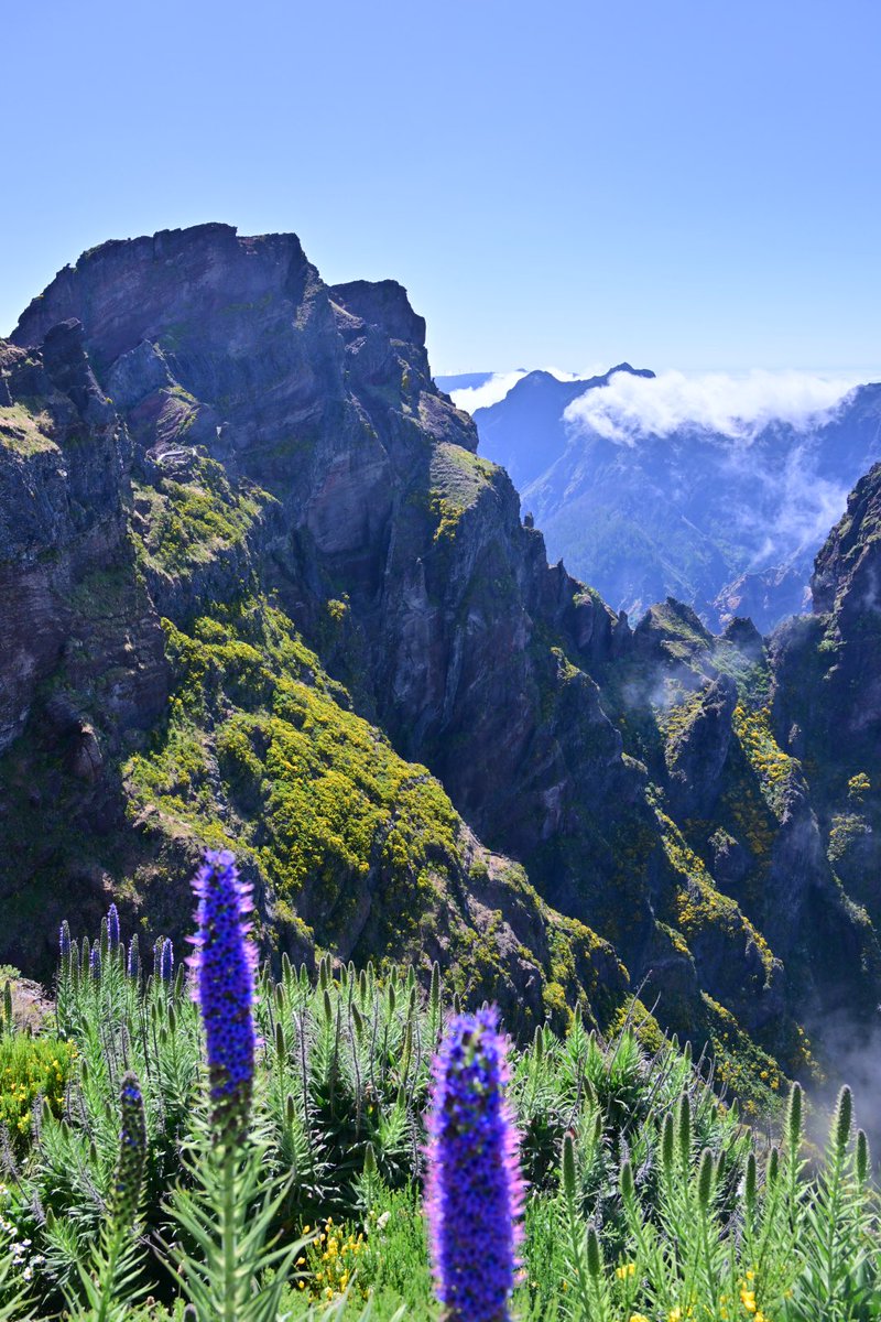 PMccoubrie's tweet image. This most astonishing place I’ve ever walked. Pico do Areeiro, Madeira. 

Was thinking of my late pal, Barry Kelly, who was vertiginous. He would hated it.