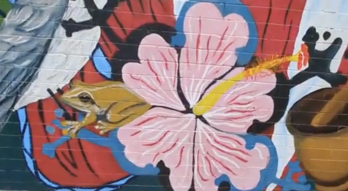 Dr. Raquel M. Ortiz tweet media