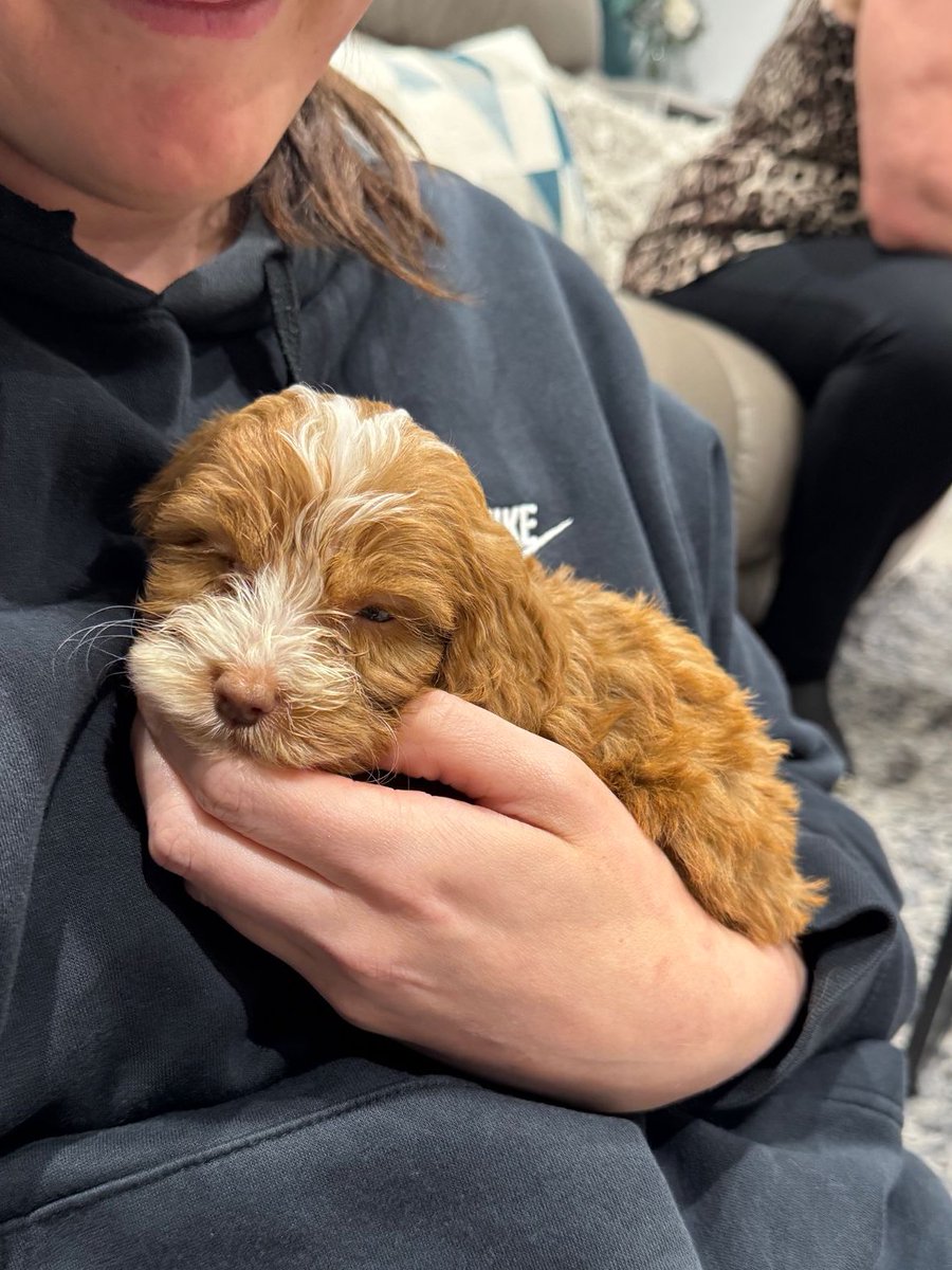 Everybody meet Stella 

I’m so in love