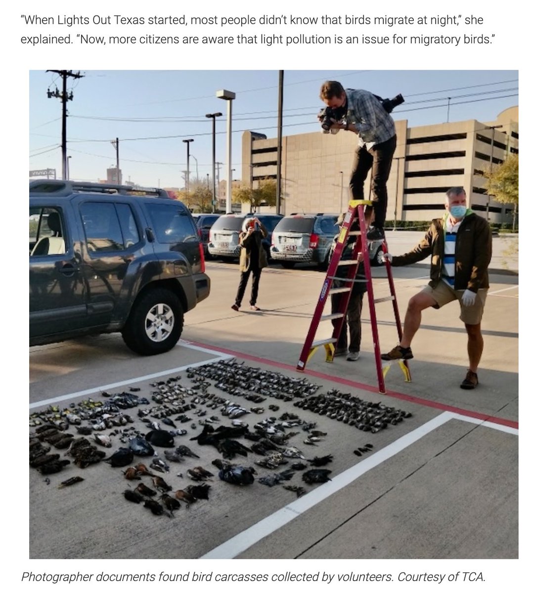 Texas Conservation Alliance tweet media