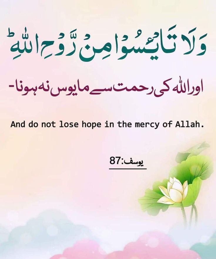Nighat Yousafzay tweet media