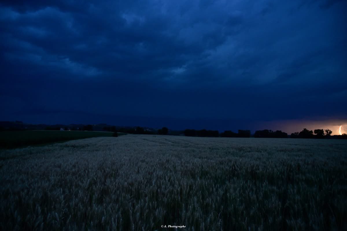 Arrivée imminente d'un derecho qui à produit de très fortes rafale de vent descendante et qui à causer les dégats qui vont avec. PAS DE TORNADE et fort heureusement sinon je serais mort et toutes personnes qui auraient était sur son passage!