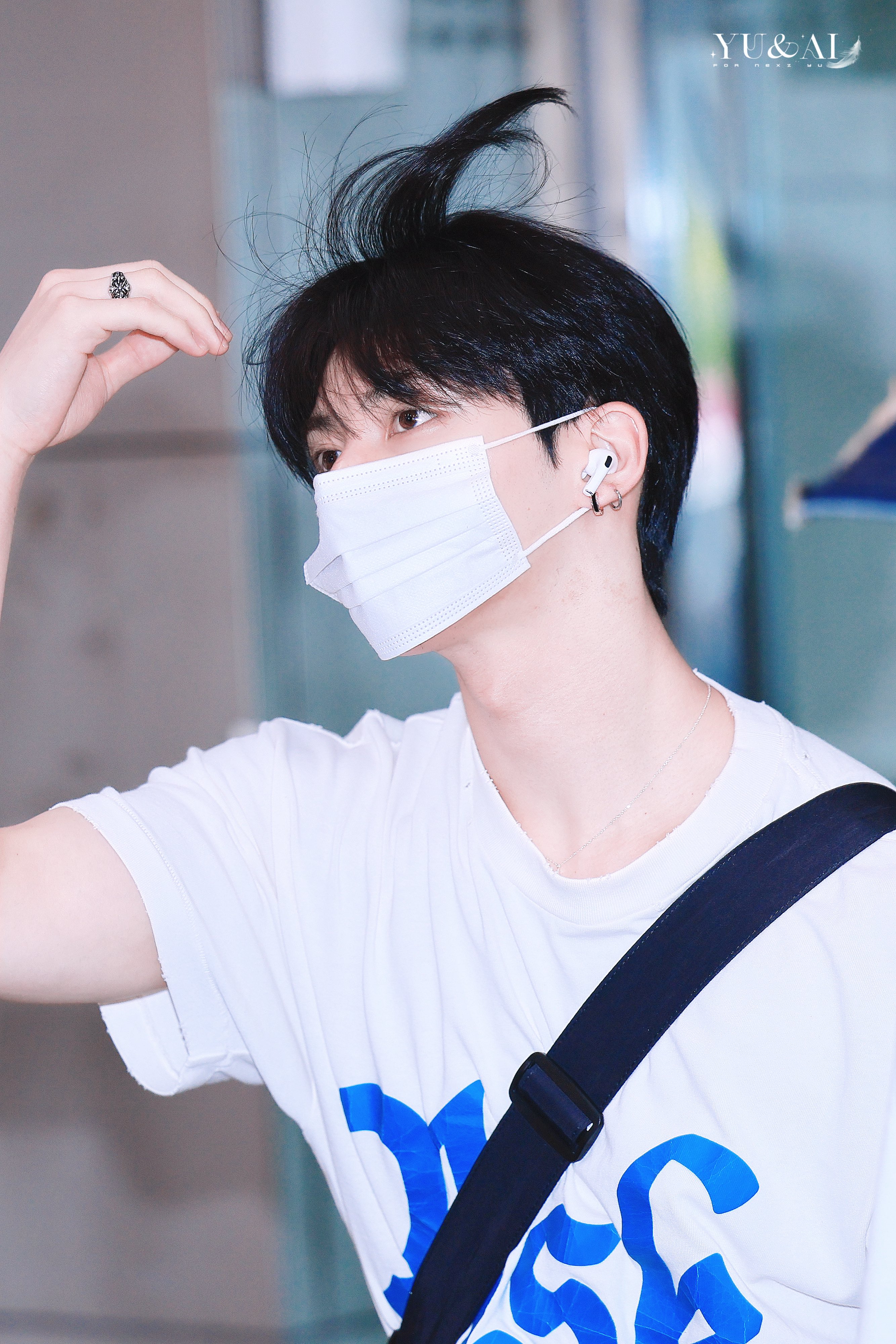 YU - Search / X