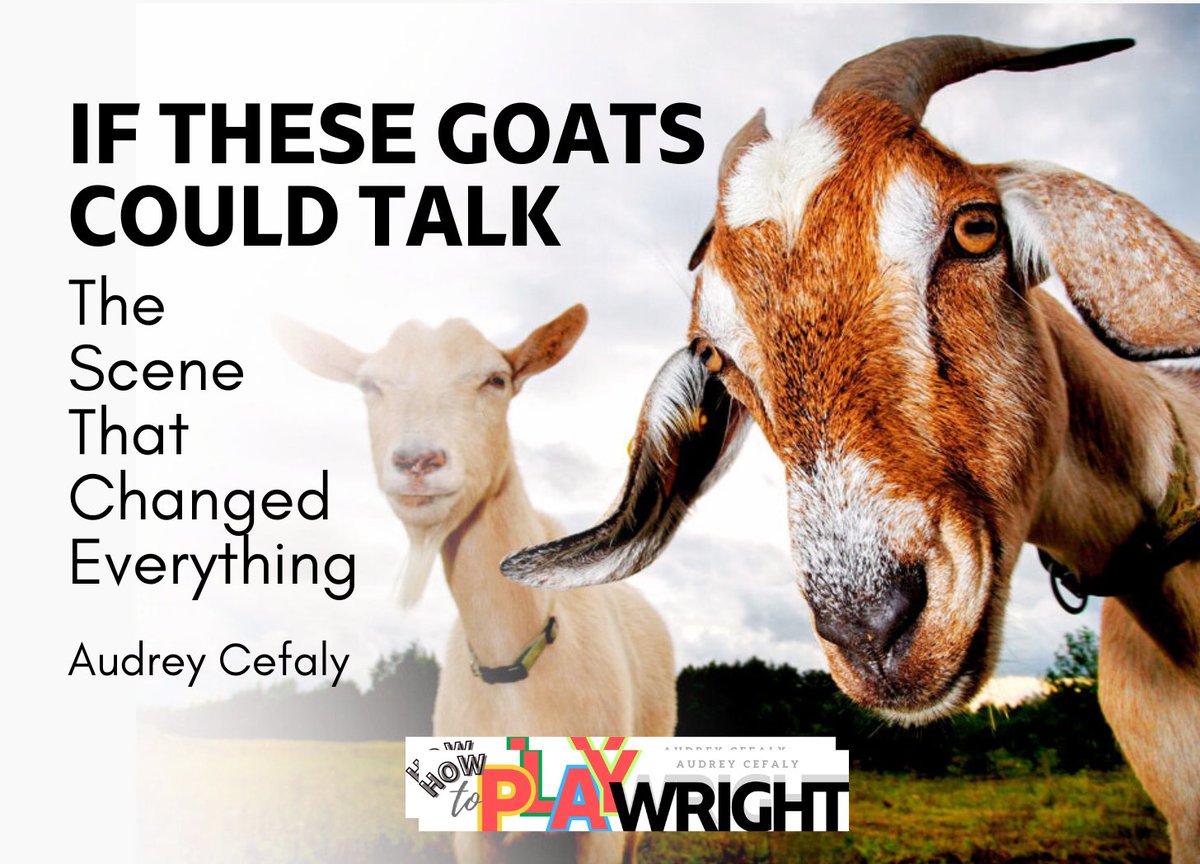 Audrey Cefaly tweet media