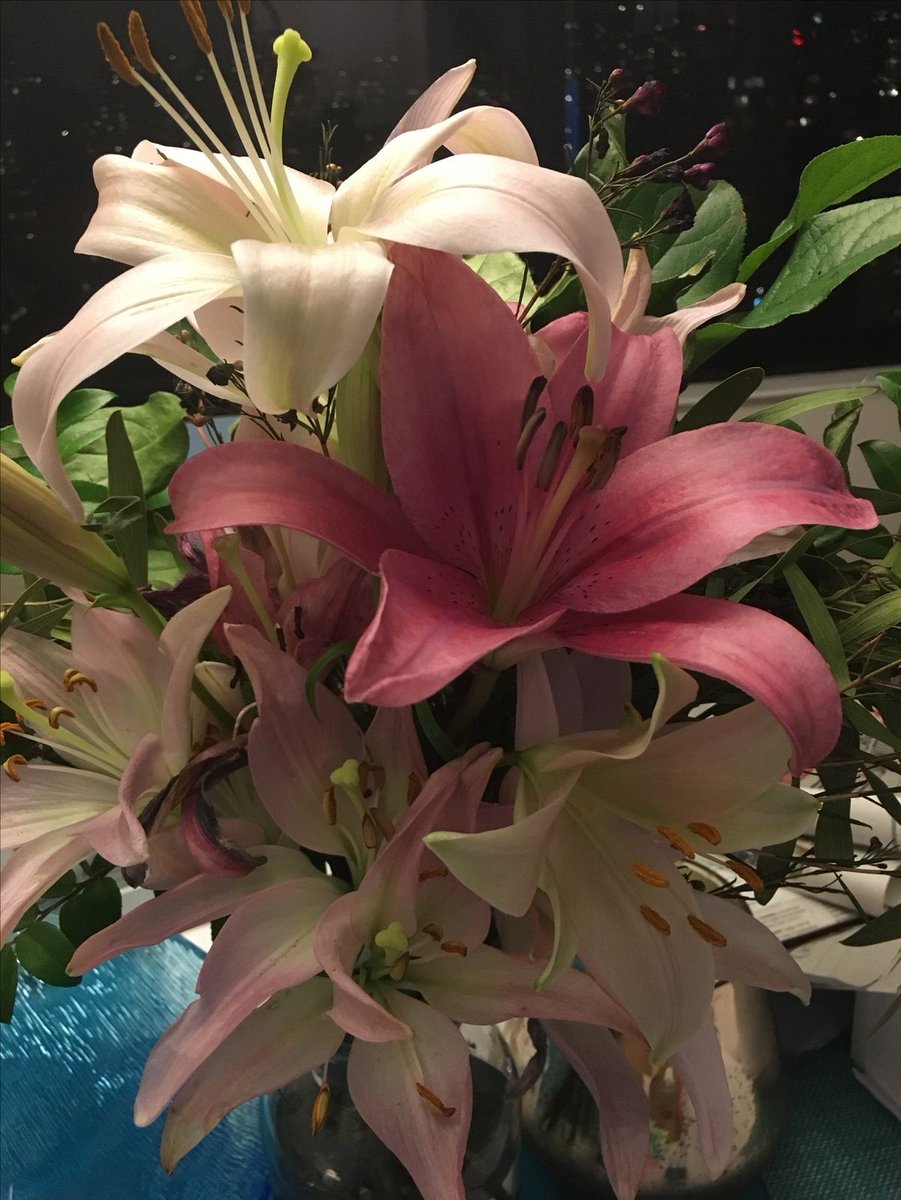 ❀ (@i3moment) on Twitter photo 