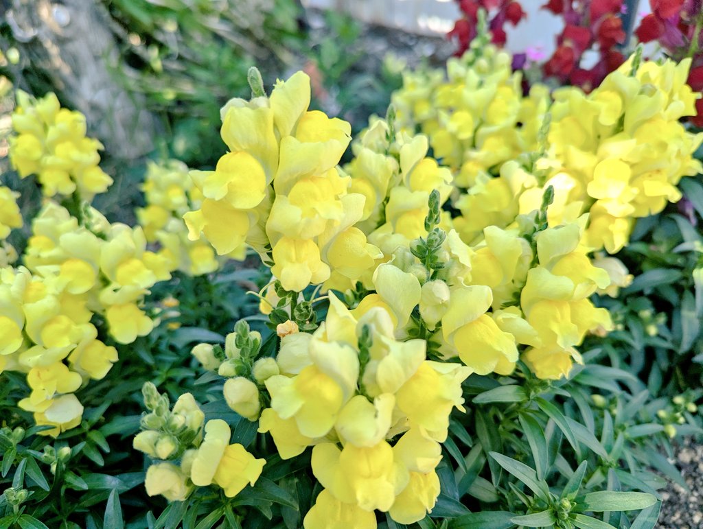 *

他人とは違う人生を生きている
それだけで意味があり
それだけで皆が尊い

*

#ﾏﾕﾘ