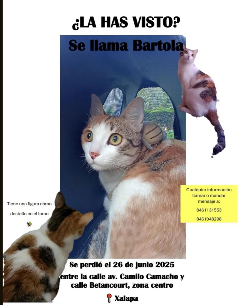 Por favor ayúdenos a compartir para que Bartolita regrese sana y salva a su hogar