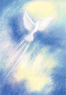 ISpreek's tweet image. Geen #genade en geen #liefde alleen maar oorlog tussen moslimcults in Jemen en ondertussen worden vele christenen ook vervolgd in Jemen

#Marokkaanse #Christen

De Her eGod
De Heilige van Israël 
is God en alleen 

Afgoderij brengt vele mensenoffers vanwege macht, roem en geld