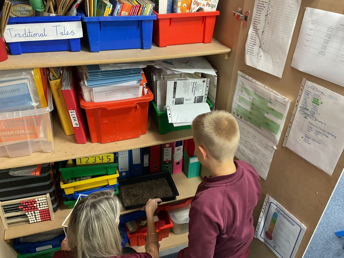 PDA_Y2's tweet image. Setting up our cress plant investigation to test our predictions for ‘What do plants need to grow strong and healthy?’. #pdascience 🌻👀🤔💭