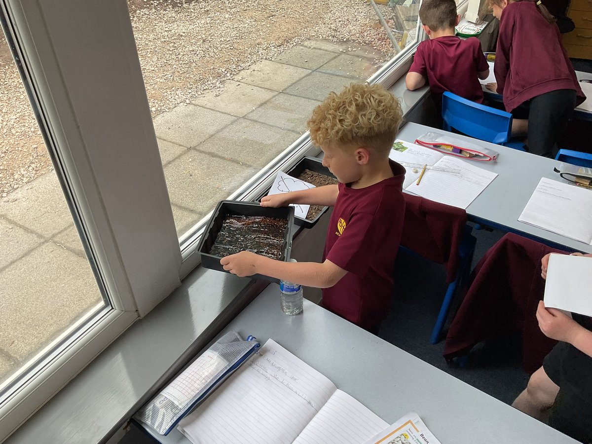 PDA_Y2's tweet image. Setting up our cress plant investigation to test our predictions for ‘What do plants need to grow strong and healthy?’. #pdascience 🌻👀🤔💭