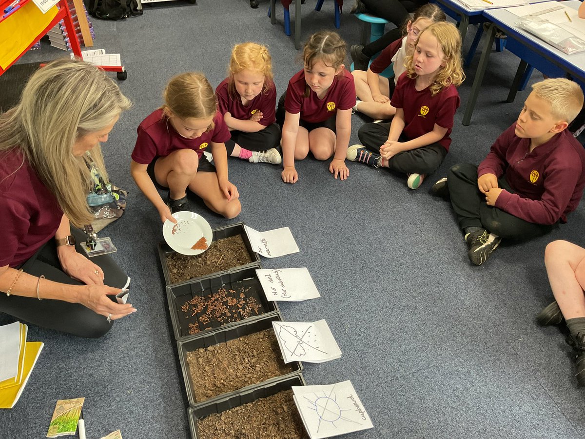 PDA_Y2's tweet image. Setting up our cress plant investigation to test our predictions for ‘What do plants need to grow strong and healthy?’. #pdascience 🌻👀🤔💭
