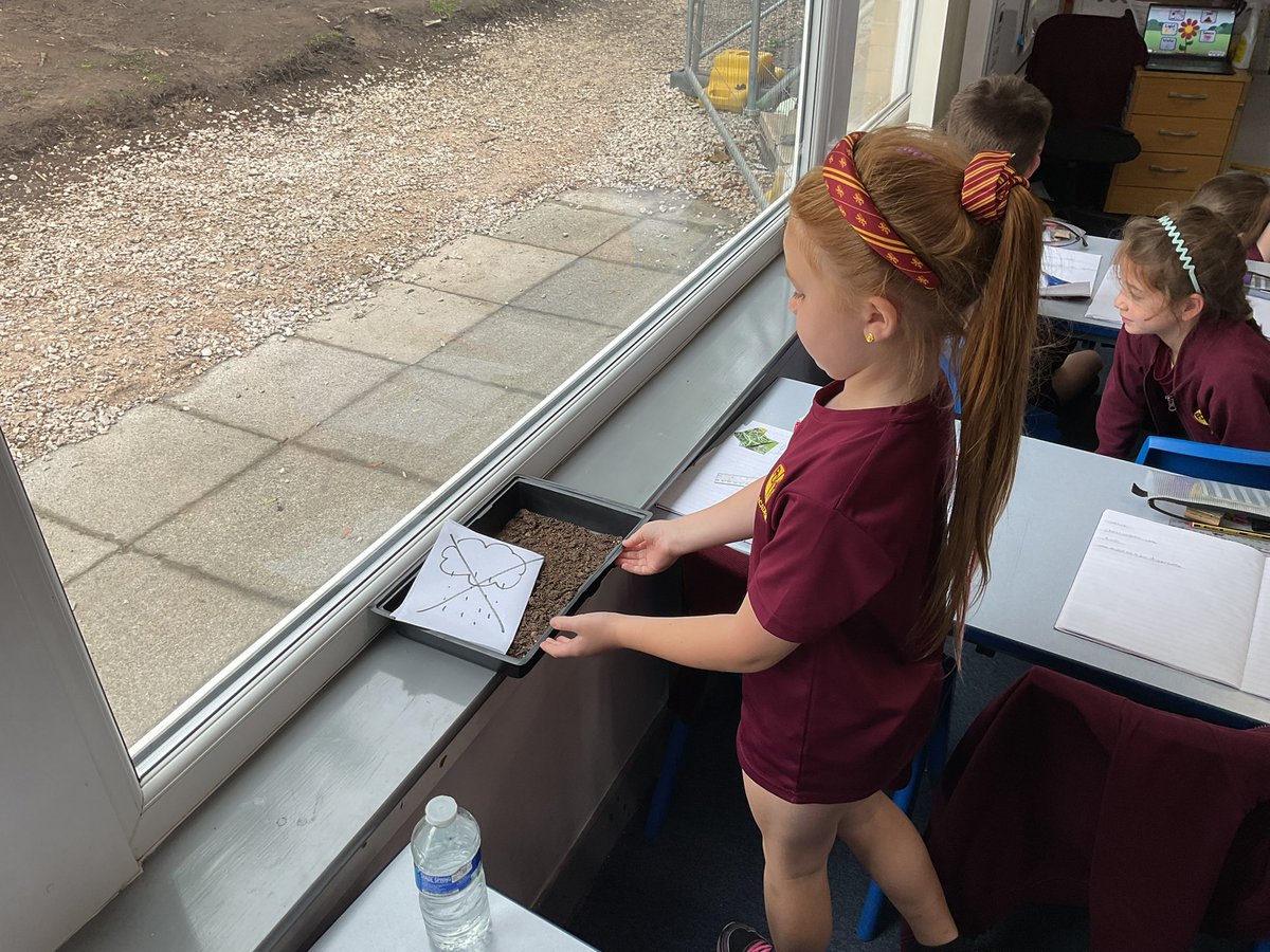 PDA_Y2's tweet image. Setting up our cress plant investigation to test our predictions for ‘What do plants need to grow strong and healthy?’. #pdascience 🌻👀🤔💭