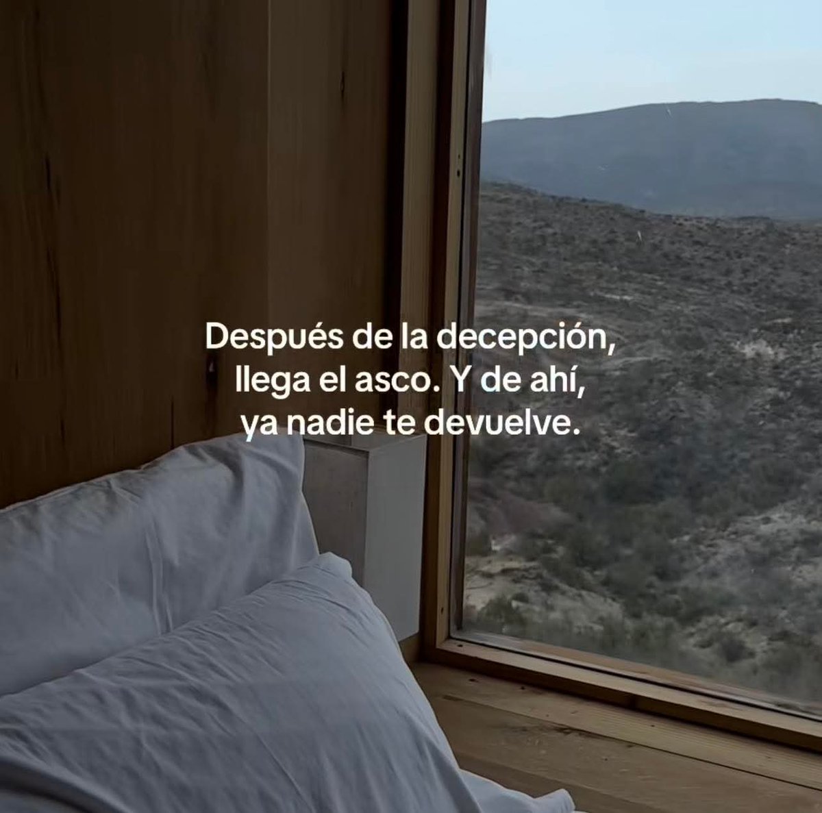 angelo_uf's tweet image. 