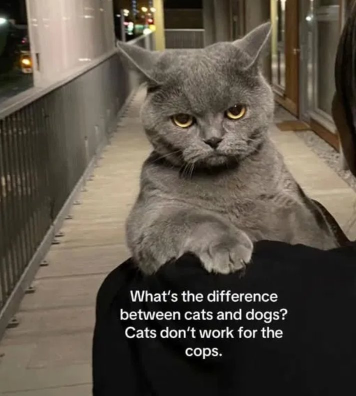 ChasteSissy (@sissychaste) on Twitter photo 