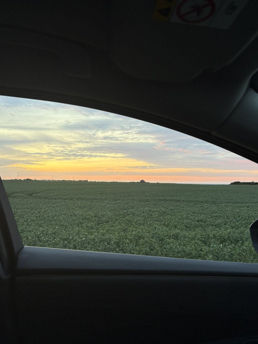 HandsommeRob's tweet photo. 🌅 https://t.co/3Wgl16wXCp