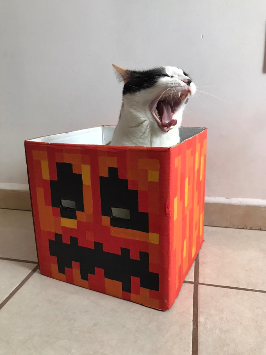 chismoon_25's tweet photo. Por si no se enteraron en mi insta, estuve arreglando y pintando una calabaza de #Minecraft que hice cajita, con mi gata (⁠ ⁠ꈍ⁠ᴗ⁠ꈍ⁠) https://t.co/gDIPI9hLEx