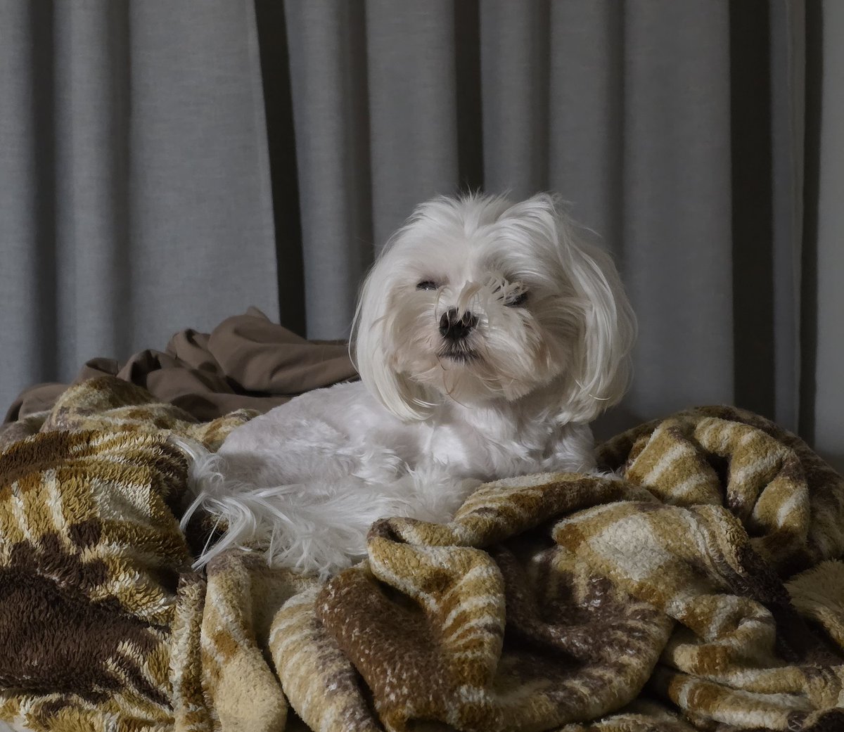 Taras Mishchenko (@tarasmi) on Twitter photo 