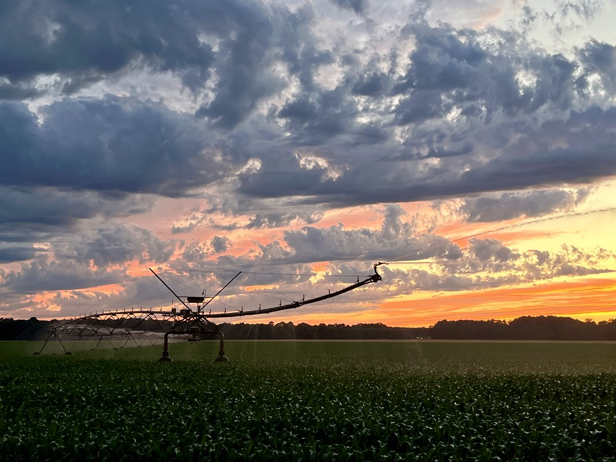 There's just something about a Delaware sunset. 

Farmers, As you irrigate in this heat, check pivot end guns to avoid spraying roads. Wet roads reduce traction &amp; visibility—especially risky for motorcycles. Drivers: slow down near wet patches.

📸: 2024 Photo Contest Submission