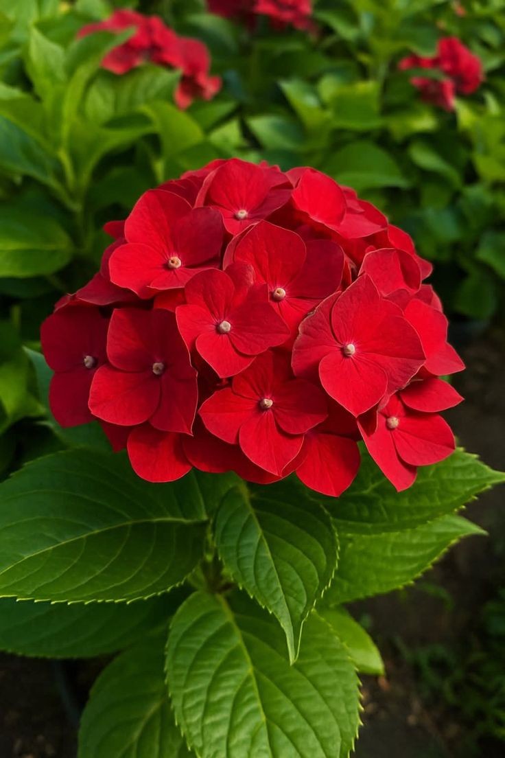 Çok güzeller 🌸❤️