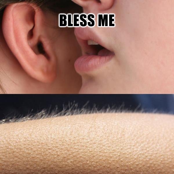 Asolord_X's tweet image. One last post today for the first DePIN on $KAITO.

Have a $BLESS ED night