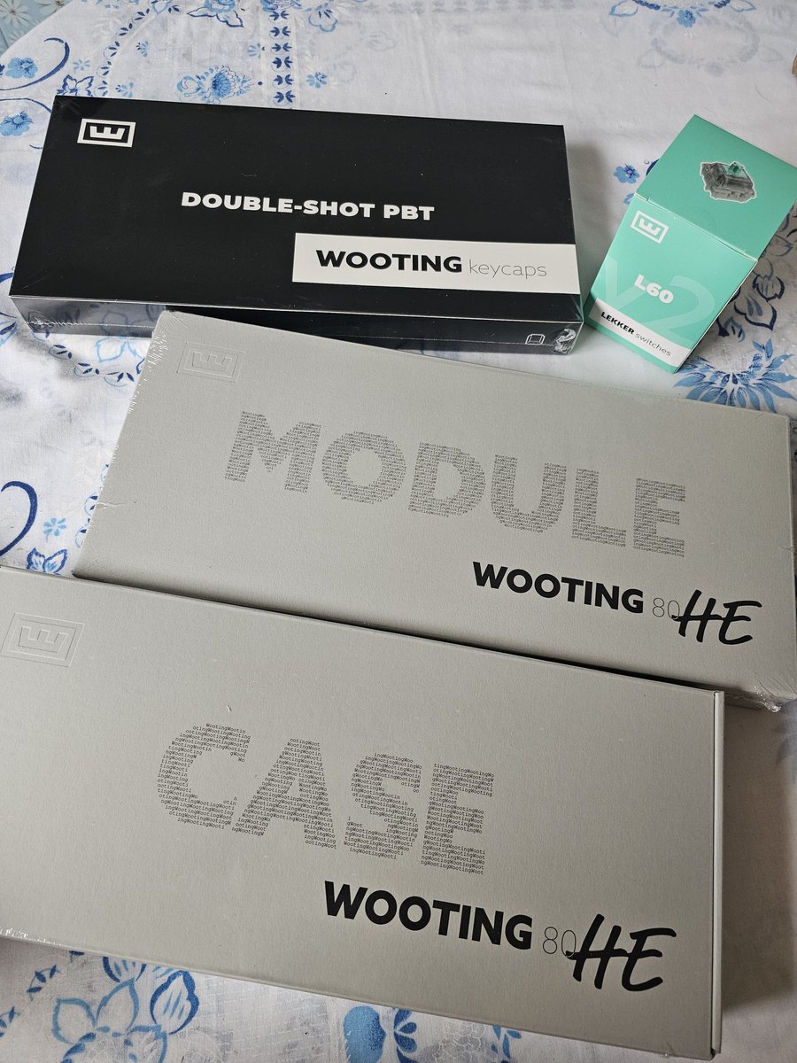 Thanks <a href="/VentexMNG/">Ventex</a> and <a href="/WootingKB/">Wooting</a> for the Wooting 80HE

Tô usando tem alguns dias e é realmente notável a diferença que faz ingame