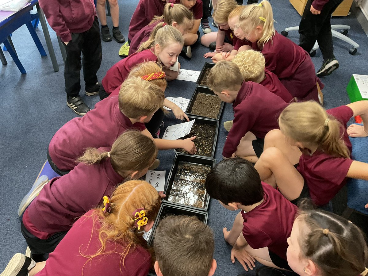 PDA_Y2's tweet image. Developing our working scientifically skills as we observe our plant investigation on day 3. #pdascience 👀⭐️👀⭐️👀